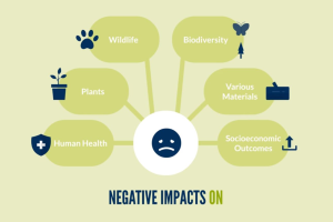 Environmental Pollution